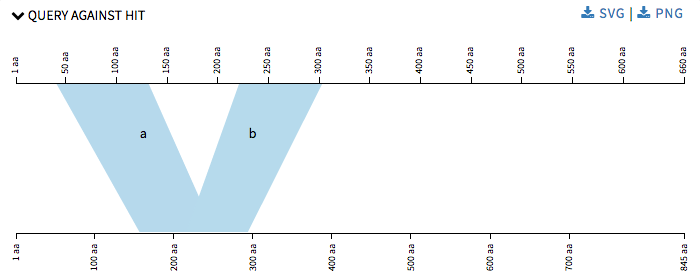 Query-against-hit